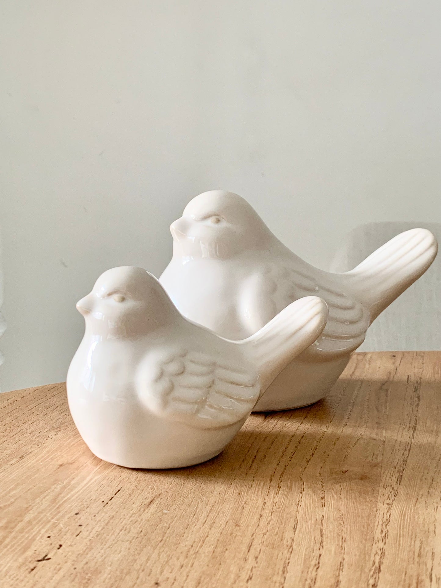 Petit oiseau