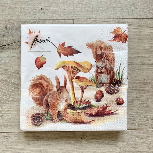 Serviettes « écureuils d’automne »