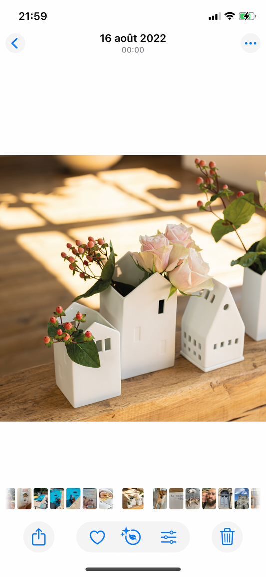 Vase « abri de jardin » S