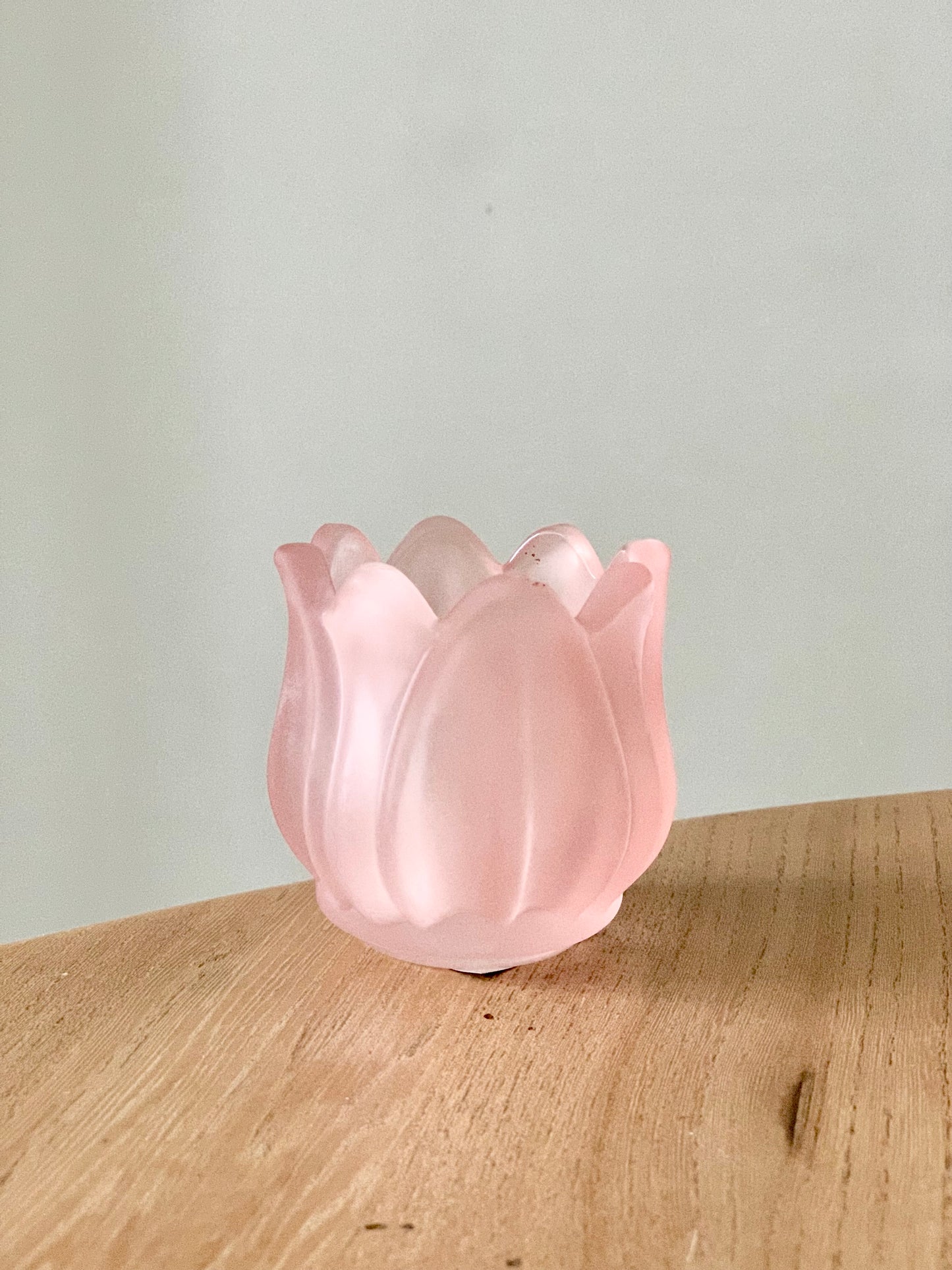 Photophore tulipe