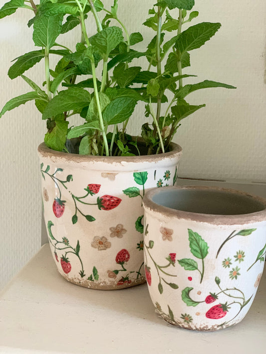 Cache-pot « fraises » S