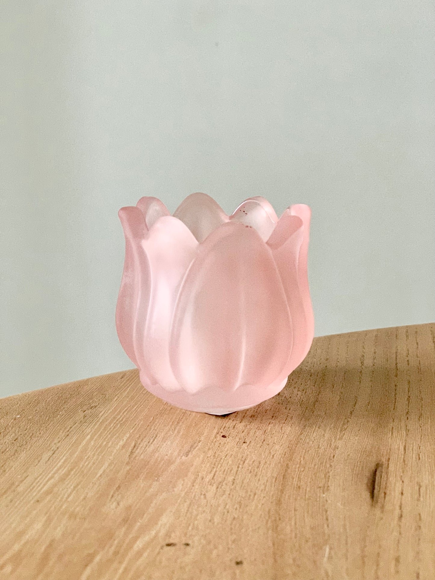 Photophore tulipe