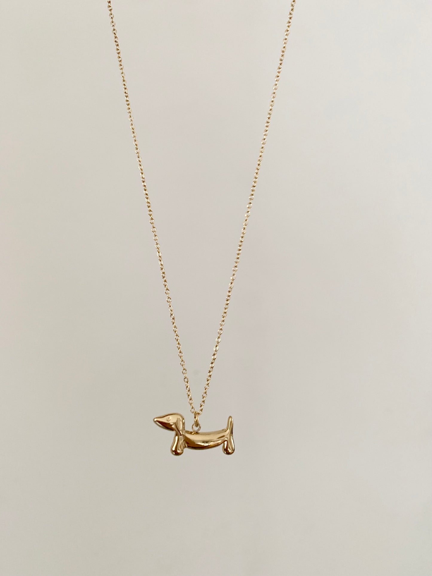 Collier teckel