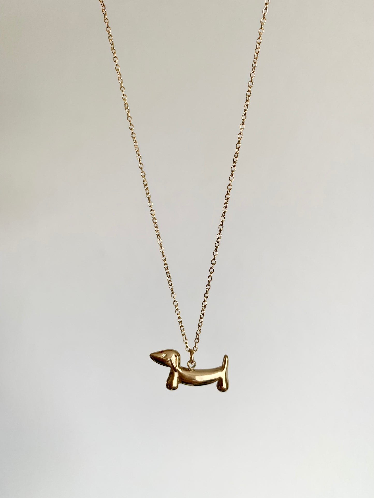 Collier teckel