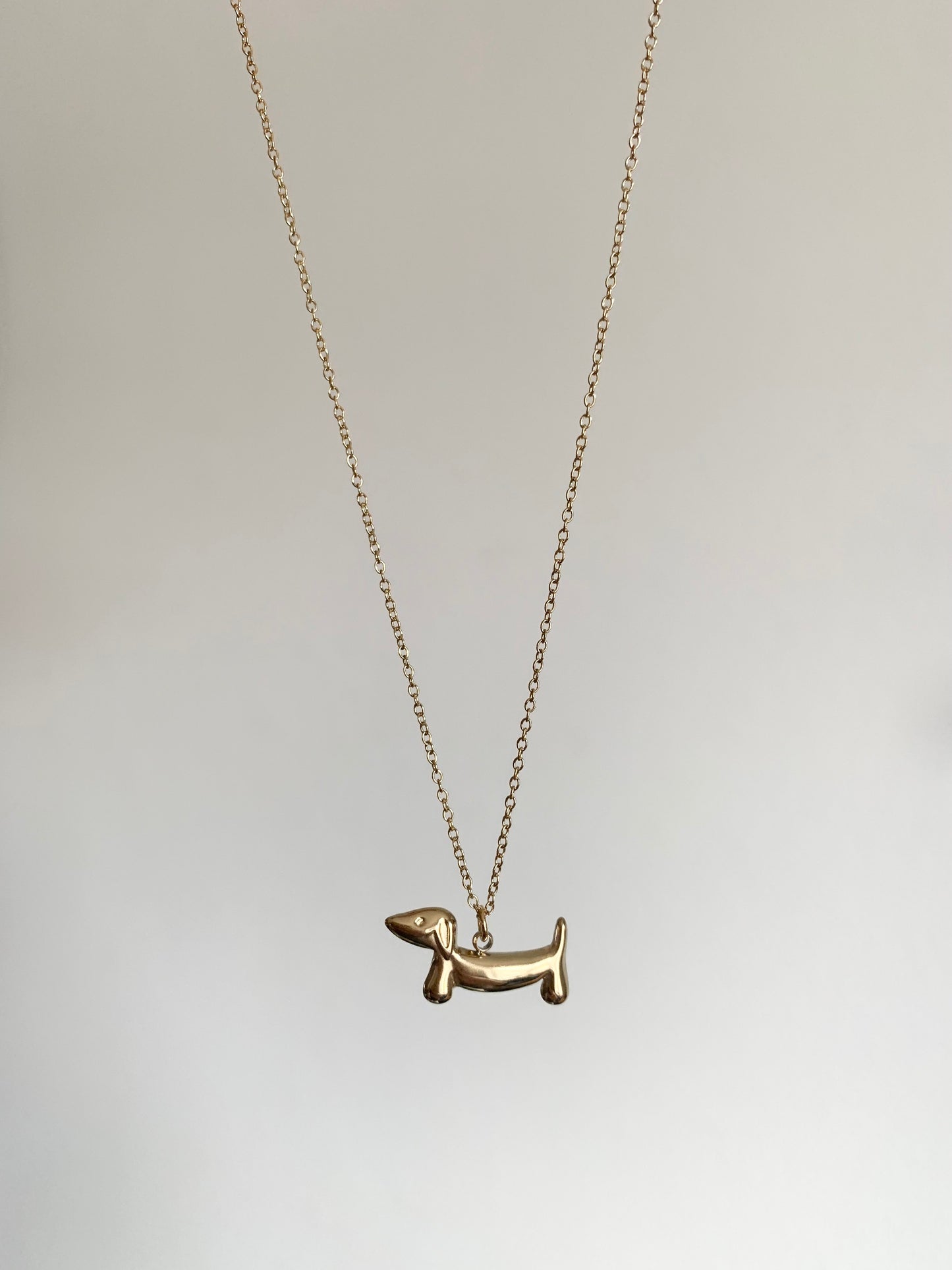 Collier teckel